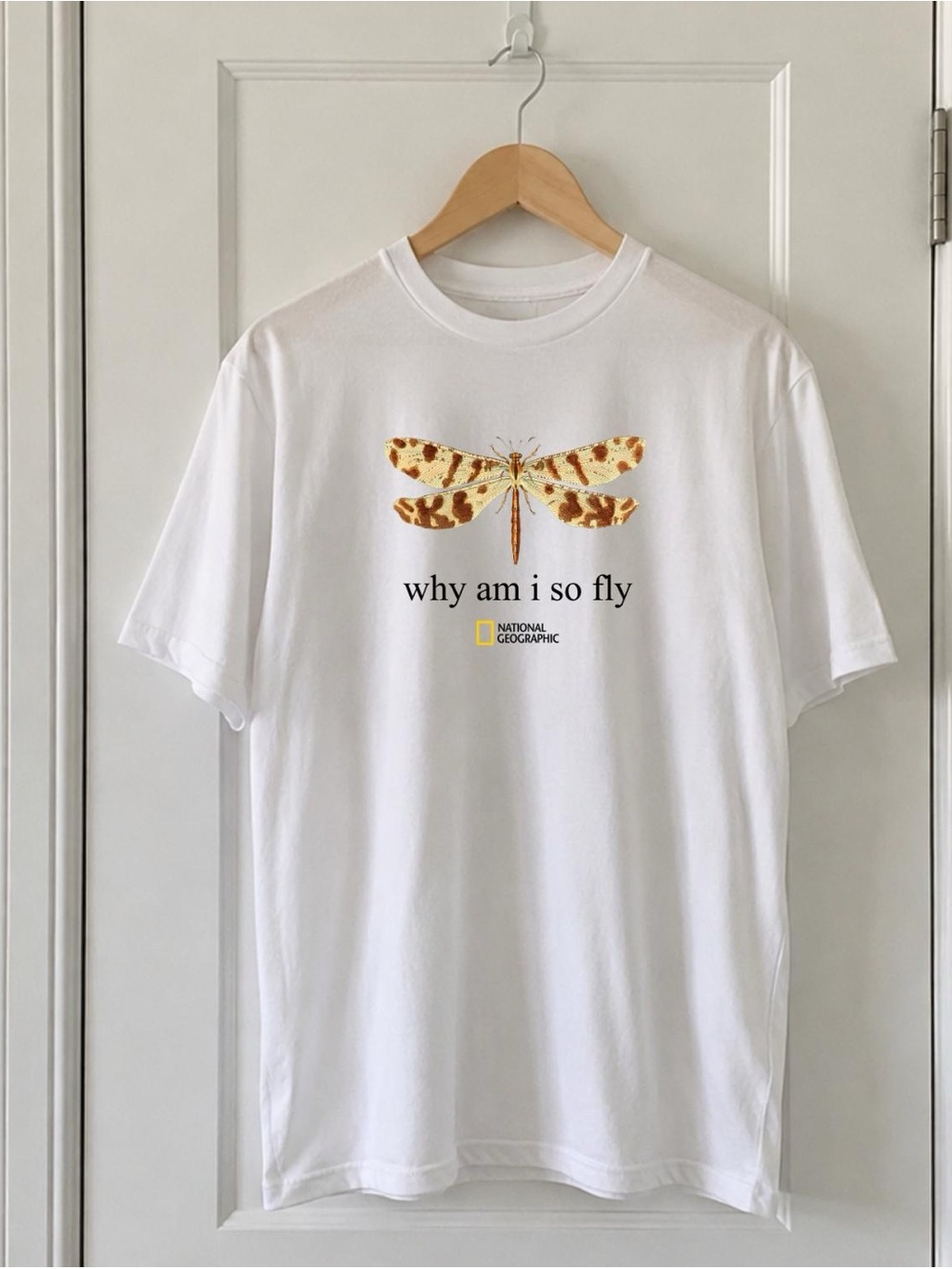 National Geographic 'Why Am I So Fly' Dragonfly Gildan Graphic T-Shirt